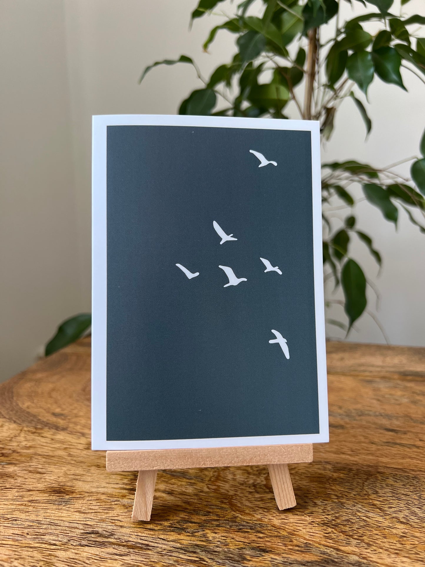 Flying birds blue background greeting card blank thinking of you sympathy miss you setting goal new beginnings
