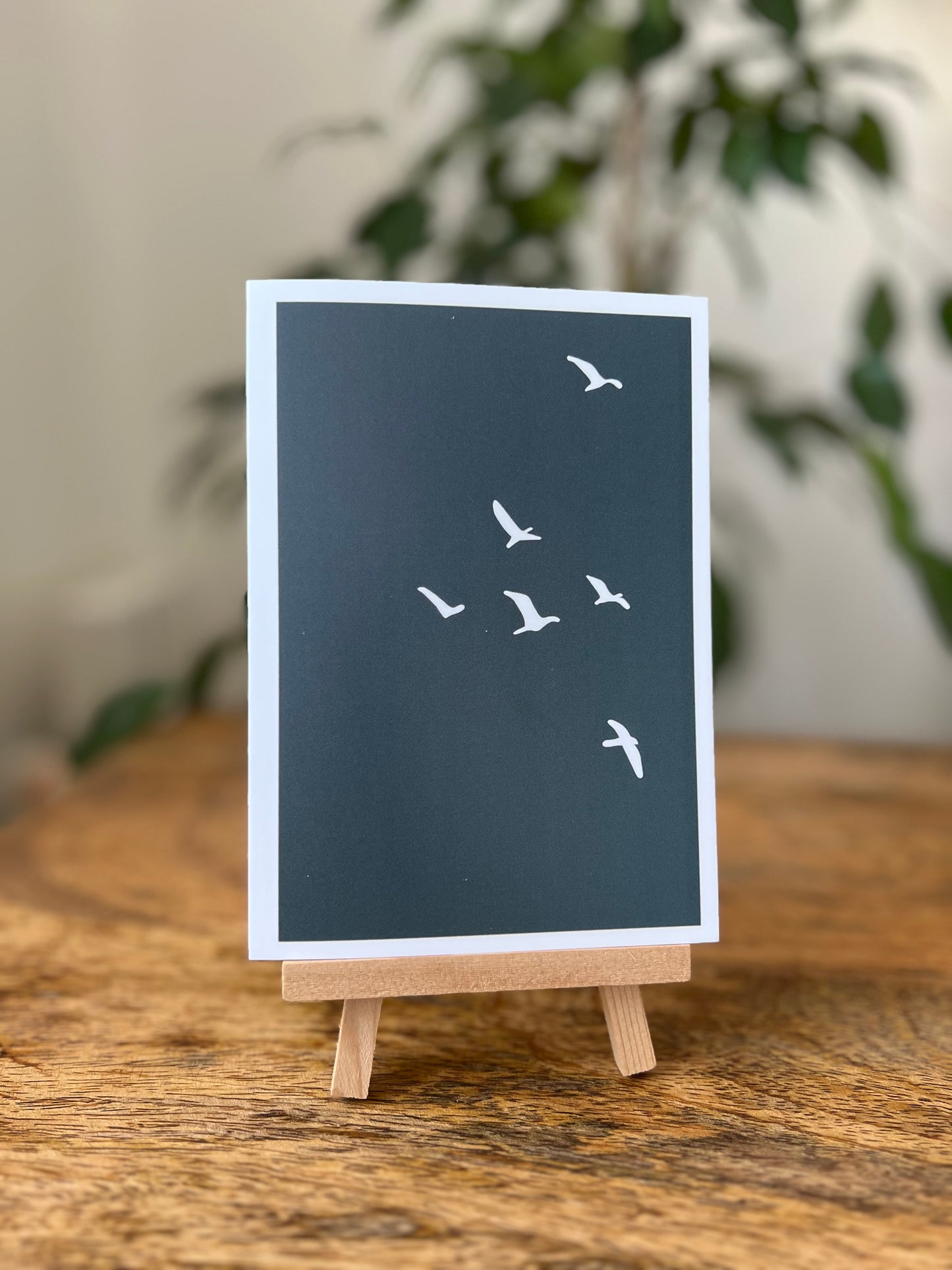 Flying birds blue background greeting card blank thinking of you sympathy miss you setting goal new beginnings