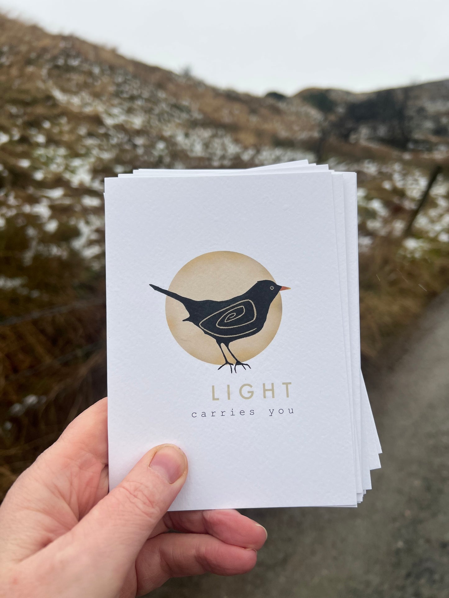 Blackbird spiral detail  'light carries you' - message nature folk lore greeting card inspire lifting | Vegan FSC-certified blank card