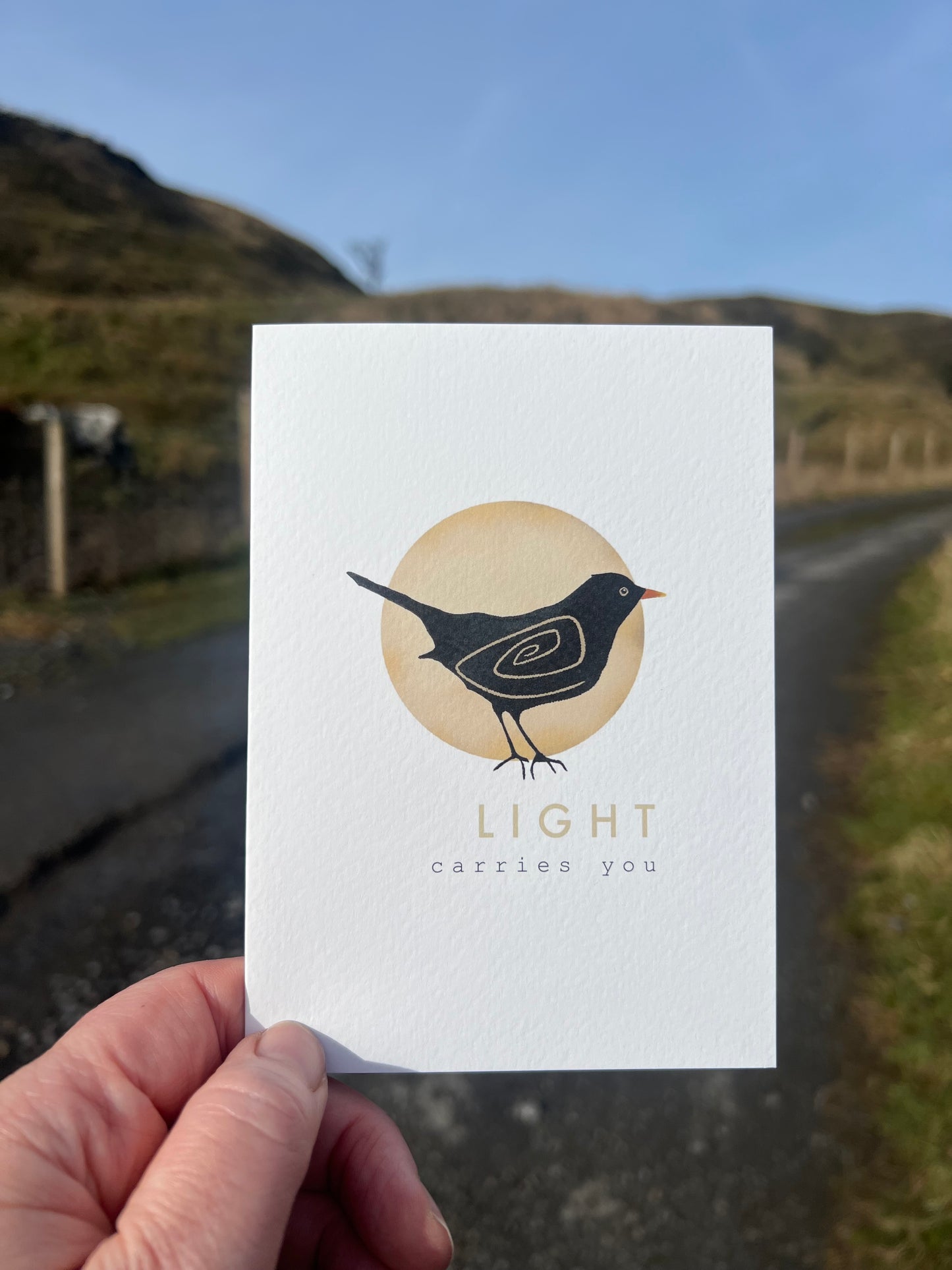 Blackbird spiral detail  'light carries you' - message nature folk lore greeting card inspire lifting | Vegan FSC-certified blank card