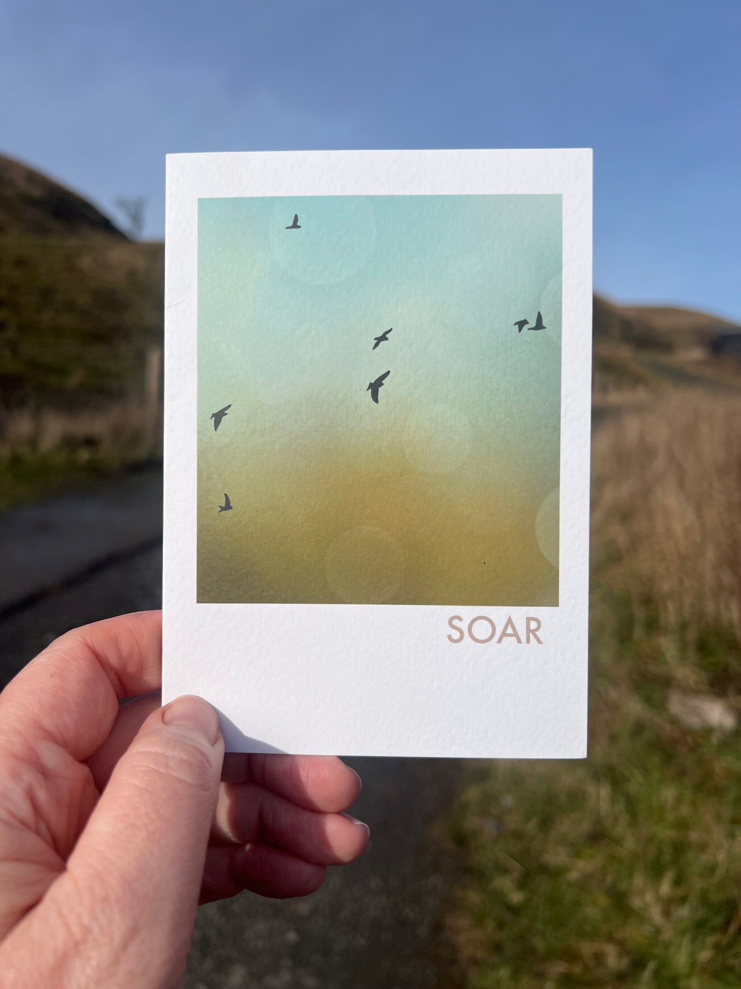 'Soar' | flying birds in sky nature freedom encouragement art greeting card | Vegan FSC-certified blank card