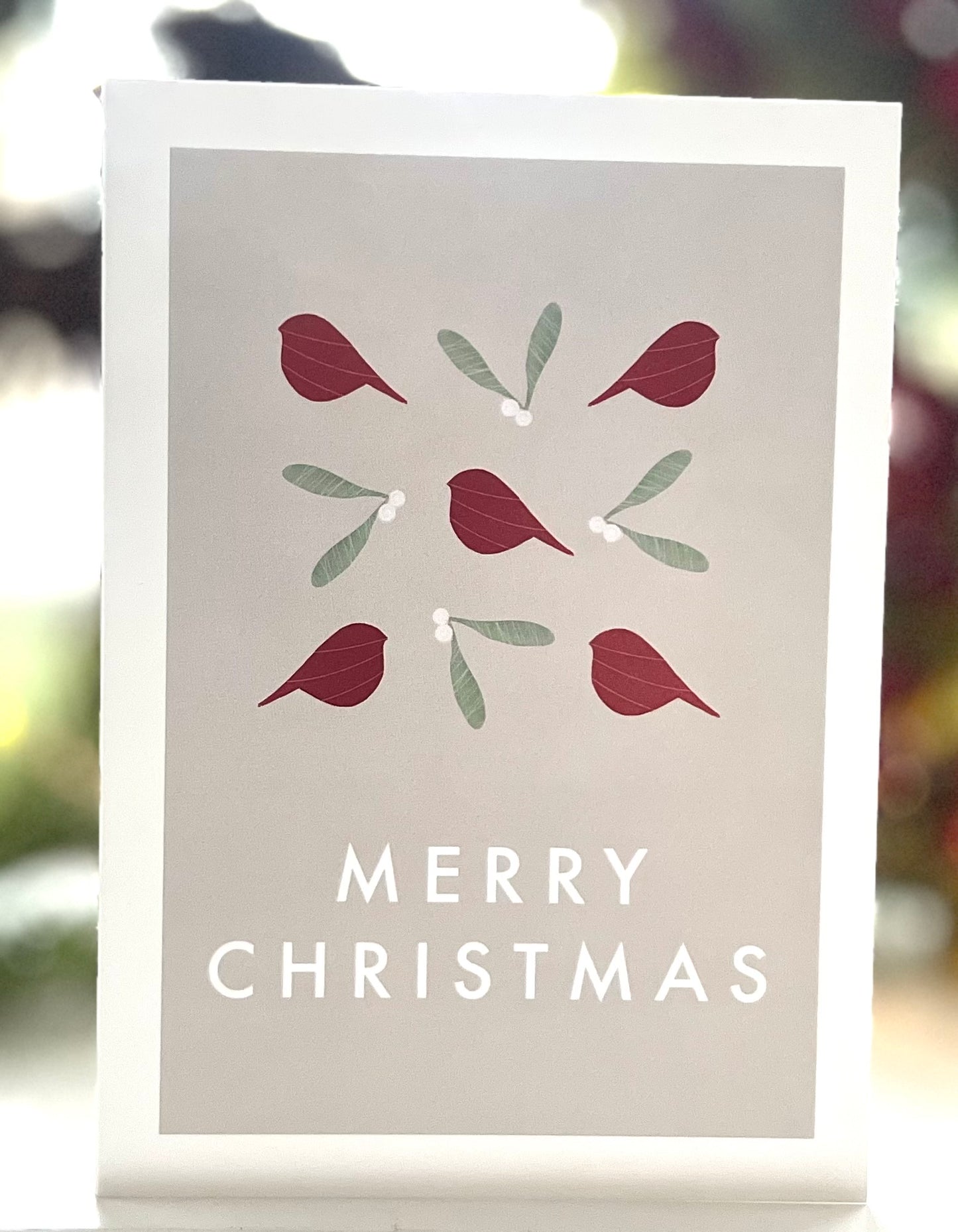 Robin and Mistletoe Pattern Christmas Card