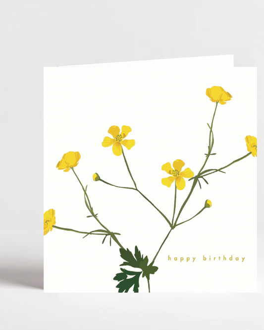Buttercup white background