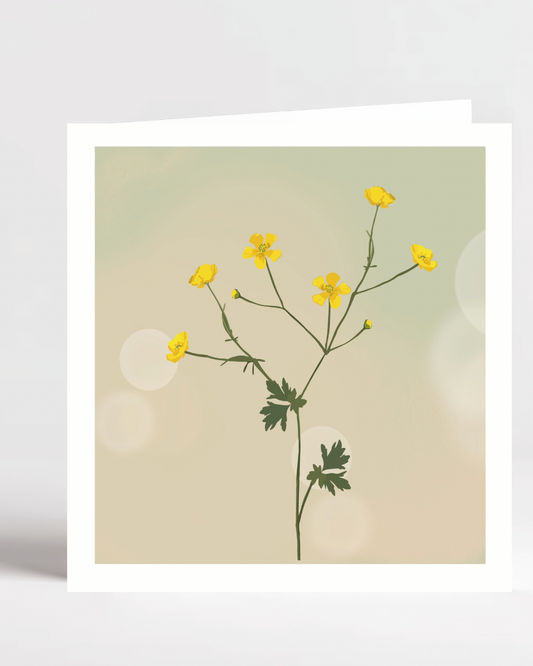 Yellow buttercup with Hazy Summer Background