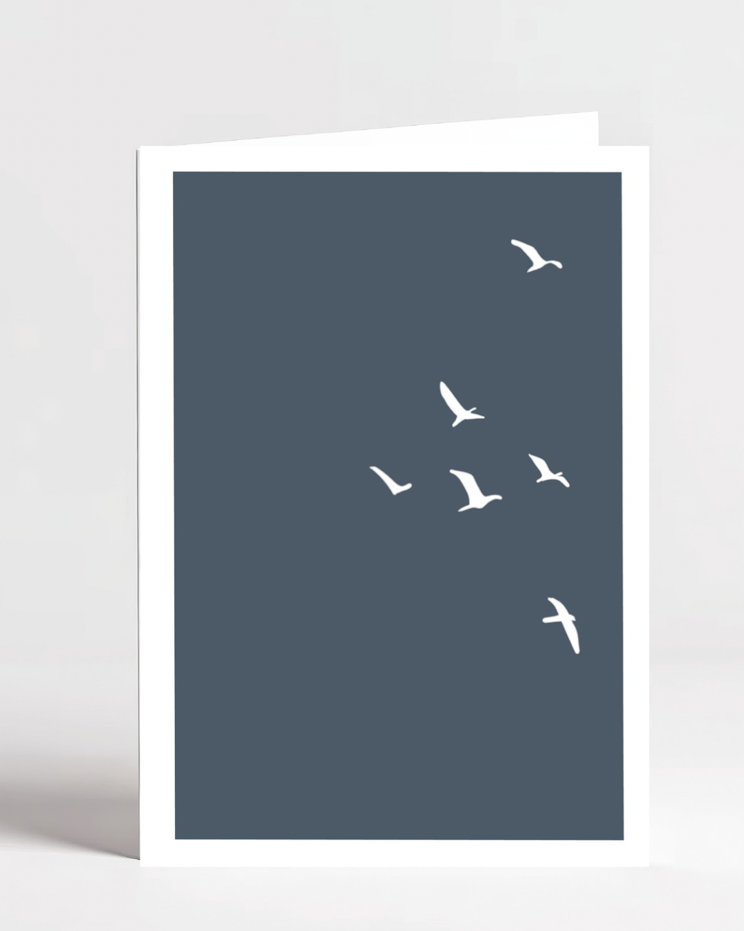Flying birds blue background greeting card blank thinking of you sympathy miss you setting goal new beginnings