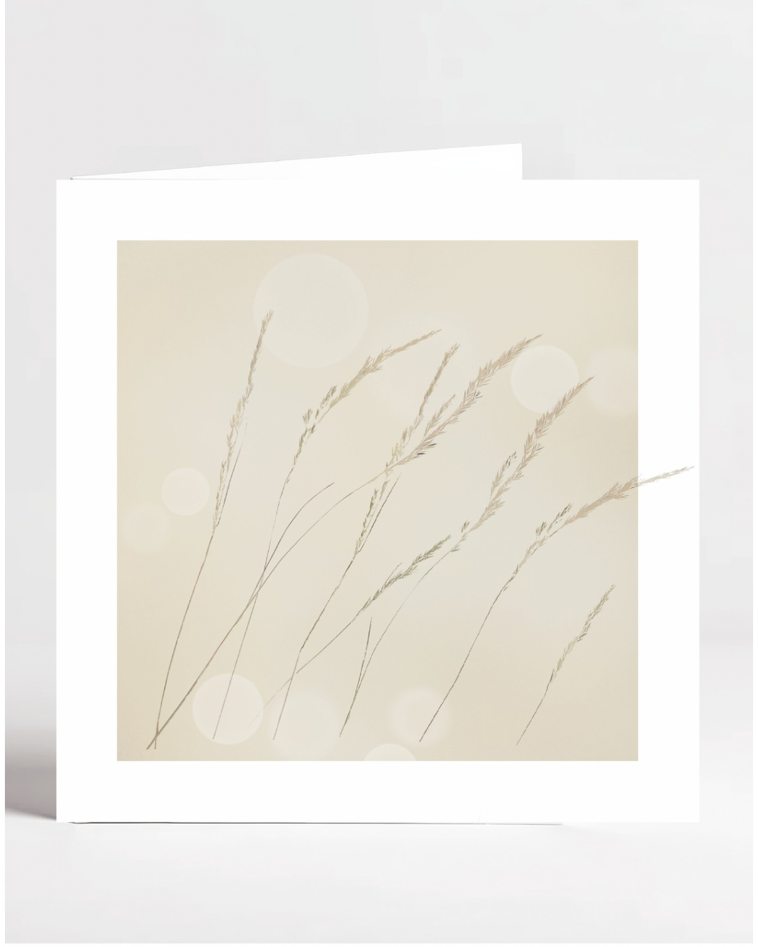 Grasses with a Hazy Summery background greetings card
