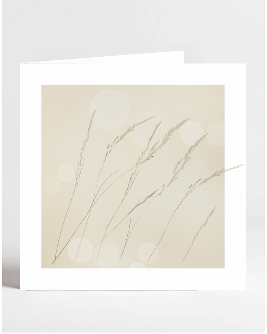Grasses with a Hazy Summery background greetings card